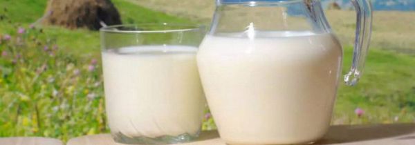 低脂奶和全脂奶的区别