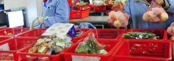 家里没有菜了怎么办