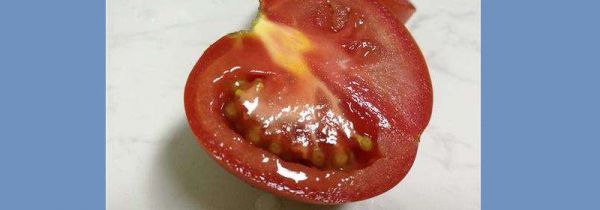 番茄发霉了切掉发霉的部分还能吃吗