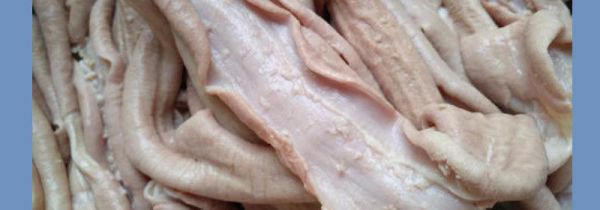 牛肠子怎么煮才能煮烂