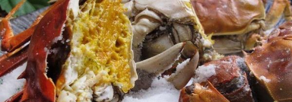 大闸蟹里面黑色的是什么