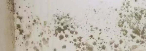 墙面掉漆可以贴墙纸吗