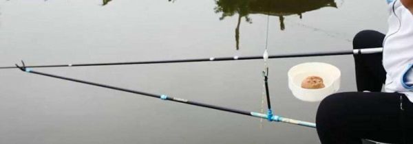 蚯蚓饵怎么调漂图解