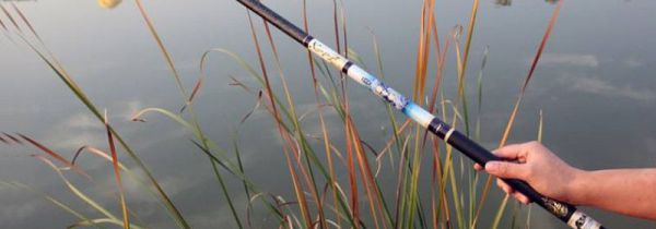 台钓竿适合钓海鱼吗