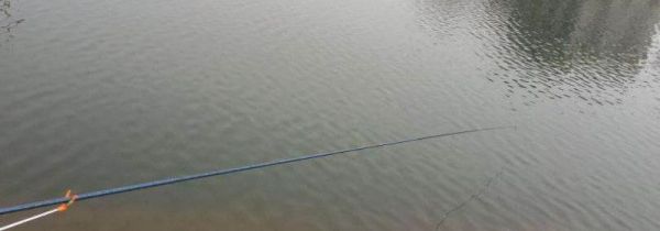 台钓竿适合什么地方钓鱼