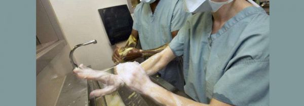 洗手指征两前三后