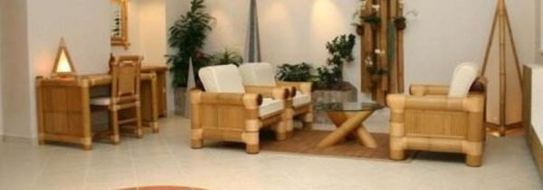 哪些原因会引起家具被虫蛀