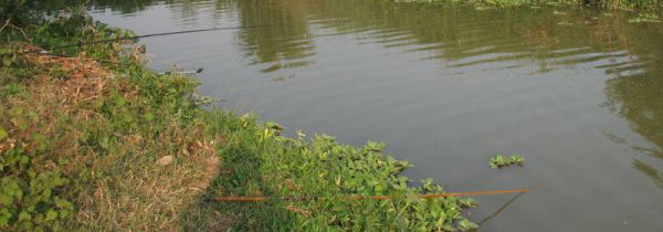 秋季钓鱼如何选钓位