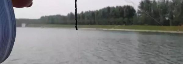 钓鲈鱼钓组图解