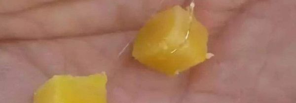 钓鲤鱼饵料配方