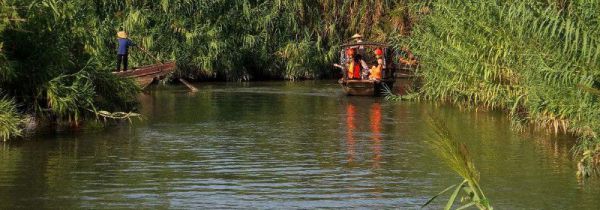 怎么钓白条正确方法