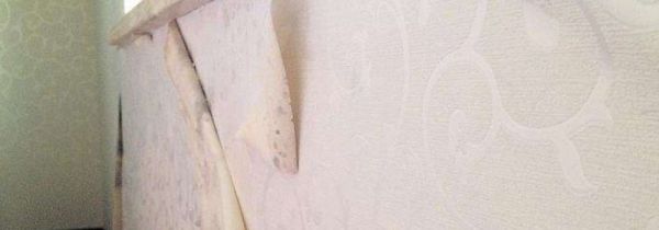 墙纸脱落修复方法
