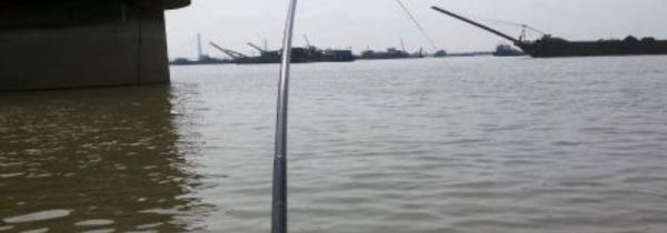 钓草鱼调漂的正确方法