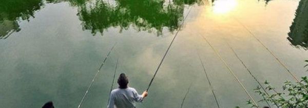 钓草鱼挂草的方法