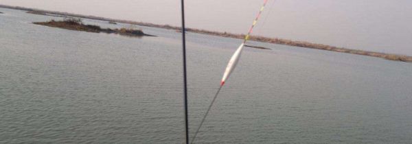 钓草鱼怎么调漂