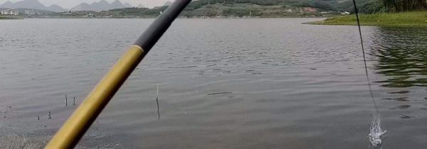 钓草鱼的方法