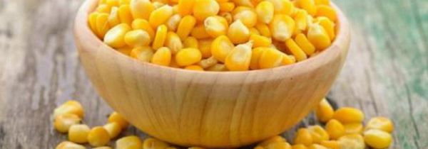 钓草鱼窝料配方