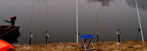 海竿怎么钓草鱼