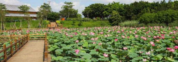 夏季干燥还是冬季干燥