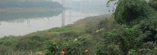 怎么钓草鱼调漂