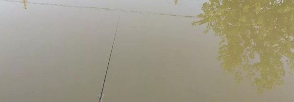 天气冷怎么钓草鱼