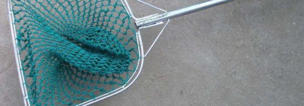 抓蟹神器有哪些