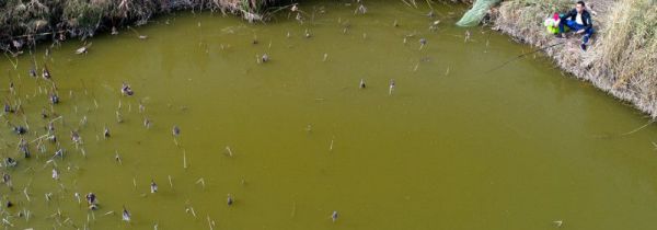 深秋怎么钓鲫鱼