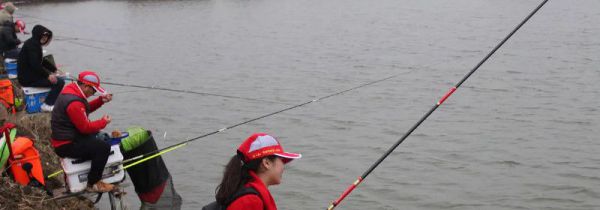 小杂鱼闹窝怎么钓鲫鱼