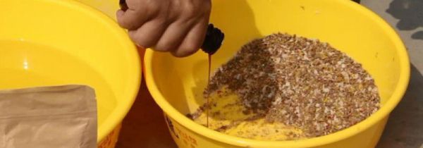 钓鱼小药怎么用