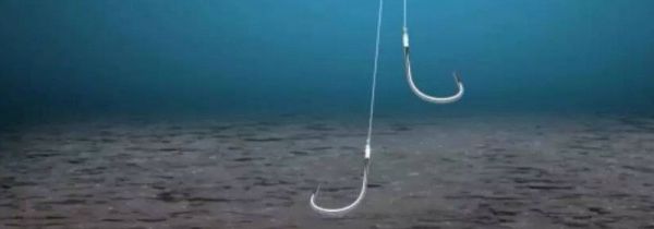 钓鱼调漂的正确方法