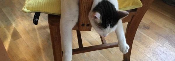 累扒了是什么意思