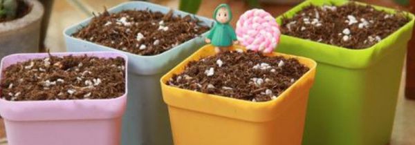 废菌棒怎么做营养土