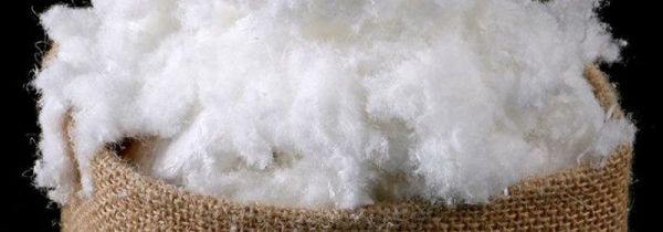 中空棉是什么面料