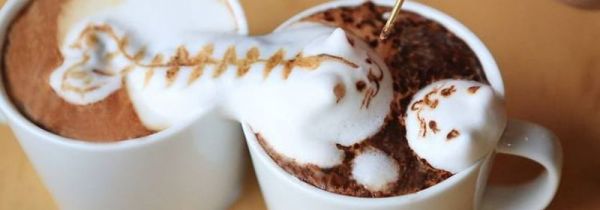 咖啡过滤器怎么用