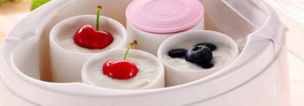 专家怎么看酸奶机内胆