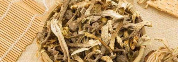 鹿茸菌食用禁忌