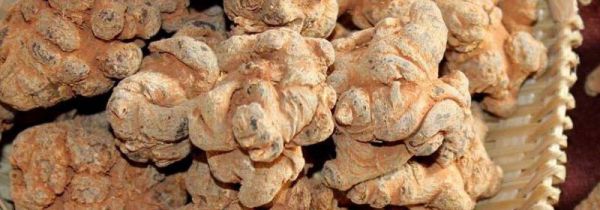 三七20头30头区别