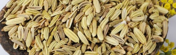 小茴香籽怎么泡水