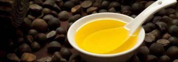 长期吃茶油的坏处