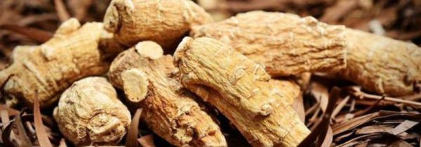 西洋参为什么越小越贵