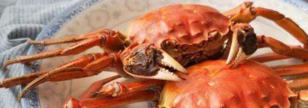 螃蟹可以和梨一起吃吗