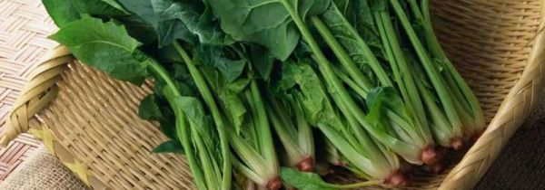 在宿舍可以久放的蔬菜