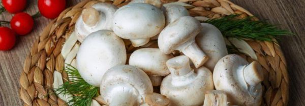 蘑菇可不可以和茄子一起吃?