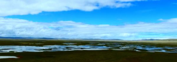 黄河源头在哪里