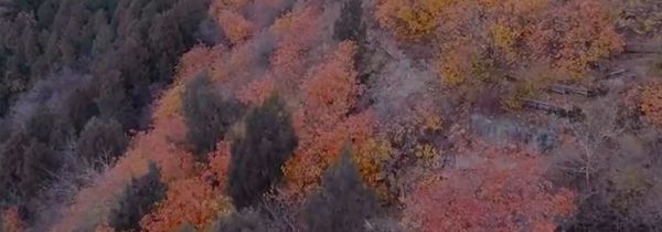 香山在哪里个城市