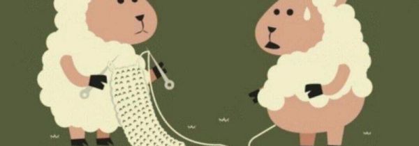 蓐羊毛是什么意思