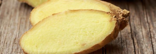 葛根不能和什么一起吃