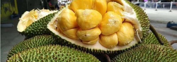 菠萝蜜果肉有褐色斑点