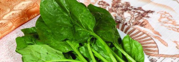 菠菜和鸭肉能一起吃吗