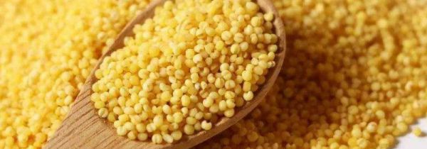 吃小米是除湿还是助湿